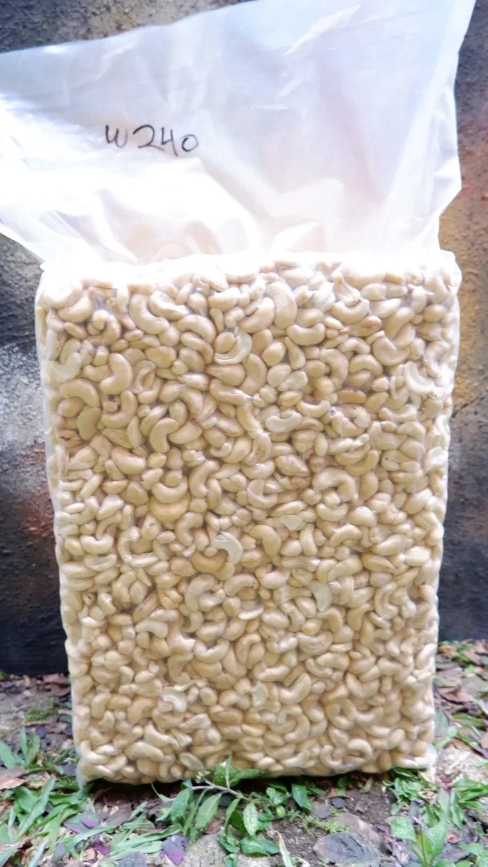 w240 kacang mede utuh grade premium 1 - Grosir Kacang Mede Bumbujangkep.com